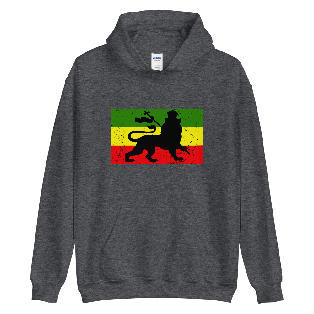 RASTA LION FLAG Hoodie